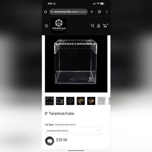 Tarantula Cribs 6" Cube